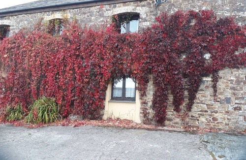 Brazzacott Cottage | LAZY HARE AT JEN'S ORCHARD, pet friendly in St Giles On The Heath