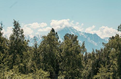 Palmer House | Lazy Mountain Guest House