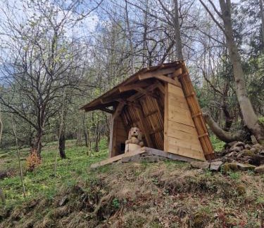 Polany Ski Chalet | Leśna Głusza