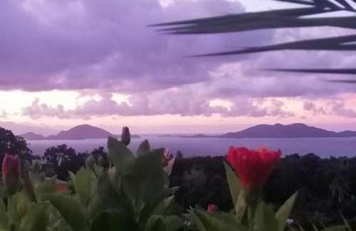 Trois-Rivieres House | Le Bananier Rouge