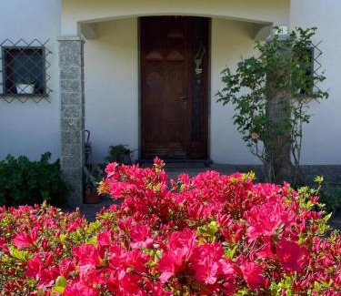 Viggiu House | Le Bricolle