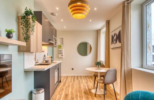 5th Arrondissement Apartment | Le Cèdre Bleu - Bel appart climatisé quartier point du jour Lyon 5