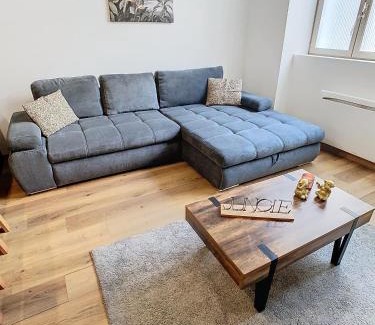 Voiron Apartment | Le cèdre de Jori