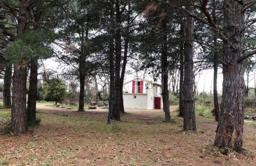 Caromb House | Le Cabanon de Vally