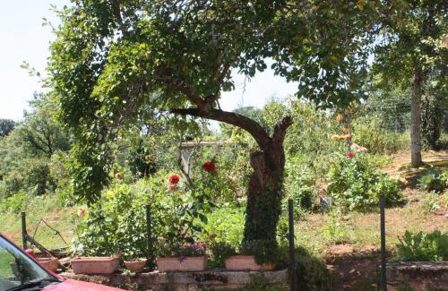 Saint-Jory-las-Bloux Bed & Breakfast | Le canard enchanté