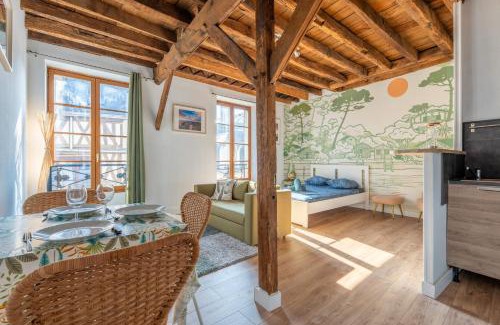 Blois Apartment | Le Cap Blésois - Hyper centre