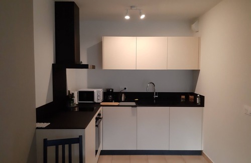 Vaison-la-Romaine Apartment | LE CEDRE * quiet apartment with loggia and garage close to downtown