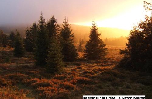 Oderen Ski Chalet | Le Chalet Bel Air