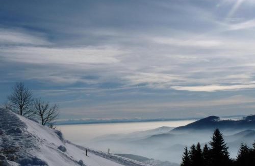 Oderen Ski Chalet | Le Chalet Bel Air