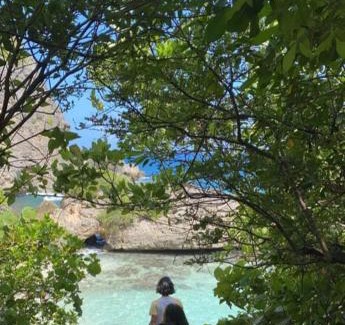 Anse-Bertrand Villa | "Le champs" des oiseaux