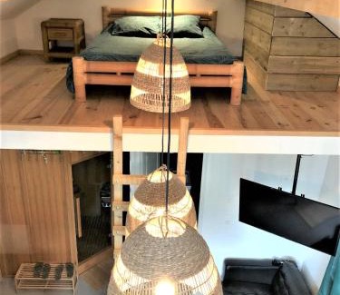 Boissy-Saint-Leger Apartment | LE CHILL Suite & SPA (Jacuzzi et Sauna privés)