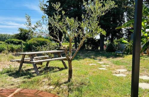 Vaison-la-Romaine House | Le Clos des Pigières Gîte le Grènetier