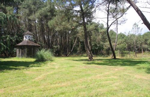 Langon Bed & Breakfast | Le Clos du Chêne