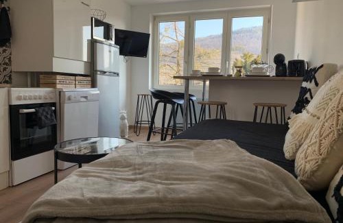 Guebwiller Apartment | Le cocon