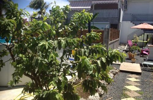 Anse-Bertrand Resort | Le Domharry