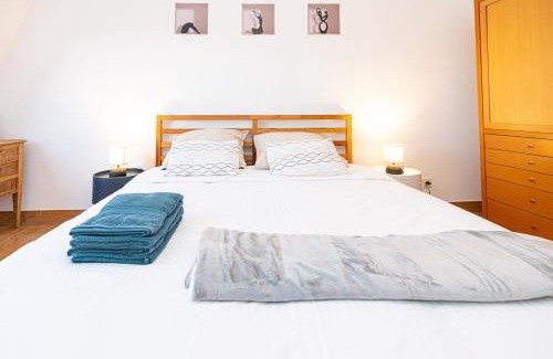 Hoenheim Apartment | * * Le Duplex des Cigognes * *