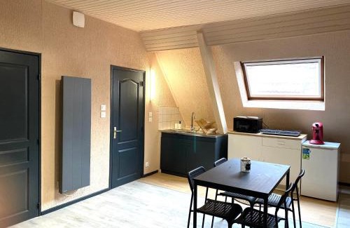 Soultz-Haut-Rhin Apartment | le duplex