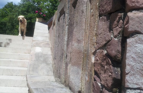 Osenbach Apartment | Le Gîte des Orchidées in the heart of nature, panoramic view n°2