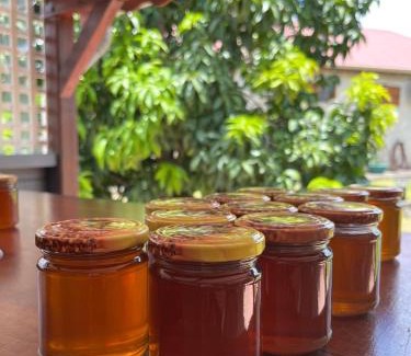 Grand-Bourg House | Le gîte du Rucher de l’île