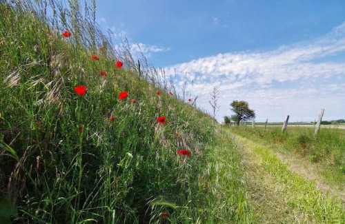 Criel-sur-Mer Apartment | le galet Bleu