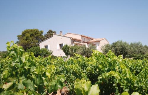 Vaison-la-Romaine Apartment | Le Grand Barsan