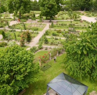 Saverne Apartment | Le Jardin des Roses - parking gratuit dans la rue - gare à 500 m