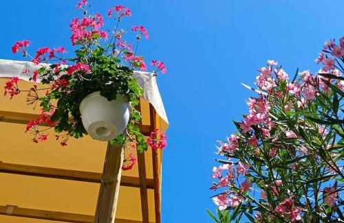 Canet-Plage Other | Le Lagon Rose nice bungalow Camping SIBLU le Mar Estang Canet-en-Roussillon, 2 rooms, 2 bathrooms, 2 TV, free WIFI, sheets & towels included, beach at 5 mn walk