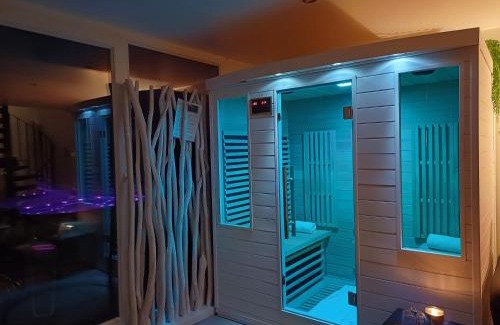 Jarville-la-Malgrange Apartment | Le LOFT, MoonLOVE, Jacuzzi et sauna privatifs sur terrasse, 120m2