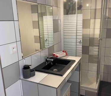 Marechal Lyautey - Vitton Apartment | Le Masséna d'Or, Calme, Métro, et Parc Tête D'or