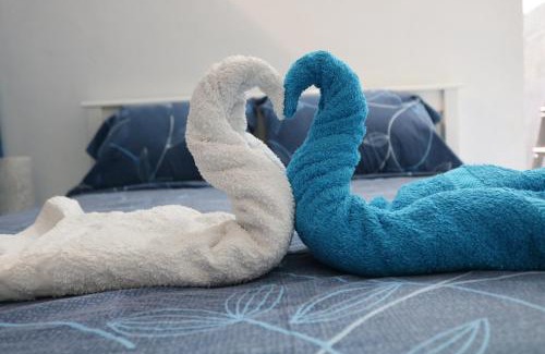 Belcourt Apartment | Le Moringa