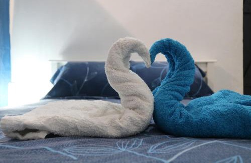 Belcourt Apartment | Le Moringa