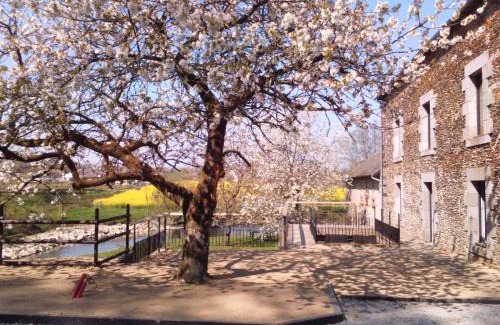 Saint-Aubin-des-Landes Bed & Breakfast | Le Moulin De Bretigneul
