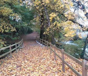 Saint-Aubin-des-Landes Bed & Breakfast | Le Moulin De Bretigneul