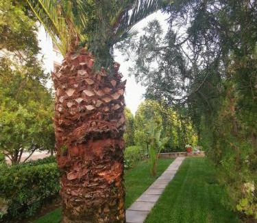 Riace Marina House | Le Palme di Riace 3