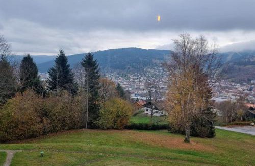 Gerardmer Apartment | Le petit Géromois - Free parking