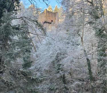 Turckheim Apartment | Le petit nid de Turckheim avec parking privé