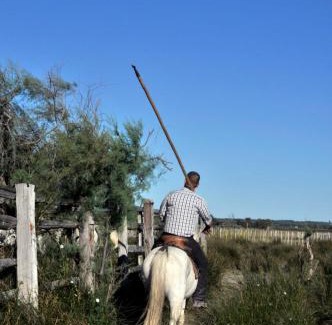 Le Grau-Du-Roi Apartment | Le Phare du Grau Superbe Appartement Standing 3 chambres vue Mer