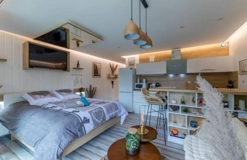 Voiron Apartment | LE QUINTESSENCE: Balnéo & Luminothérapie + parking