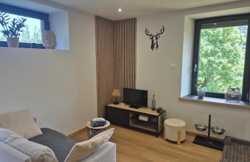 La Bresse Apartment | Le Reflet des Sommets - Sauna, jardin et terrasse