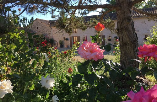 Sauze-Vaussais Cottage | Le Roitelet - gite with pool