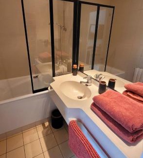 Chasseneuil-du-Poitou Apartment | Le Studio 362 Proche Futuroscope et Arena 1 à 2 Pers