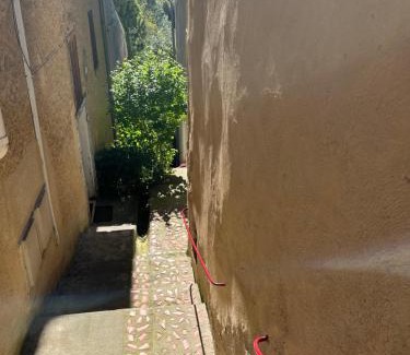 Auch Apartment | Le Tapis Vert - Loft avec jardin