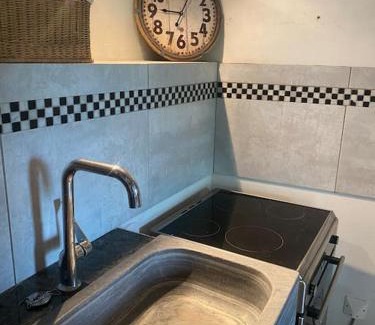 Auch Apartment | Le Tapis Vert - Loft avec jardin