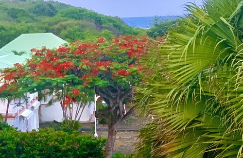 Anse des Rochers Apartment | Le Ticolibri villa hibiscus Anse des Rochers sea view
