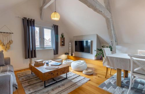 Old Town Apartment | Le Troyes Clochers