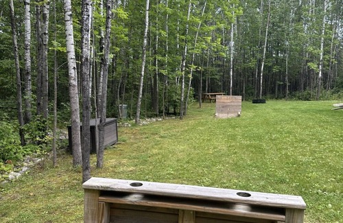 Tower Cabin | Ledgerock: A cozy peaceful retreat near Lake Vermilion