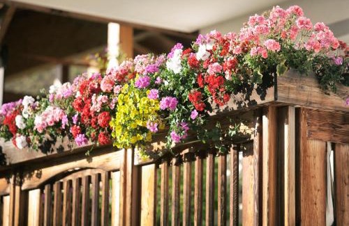 Luson Apartment | Lehrnerhof Lüsen