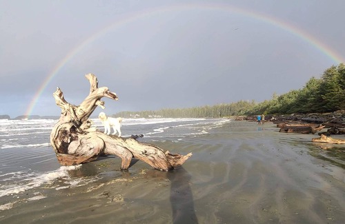 Tofino House | Lennard View House is a private home on Chesterman Beach in Tofino