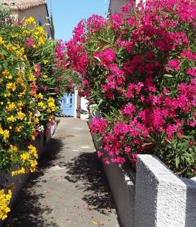 Cap d'Agde House | LES AMANDINES