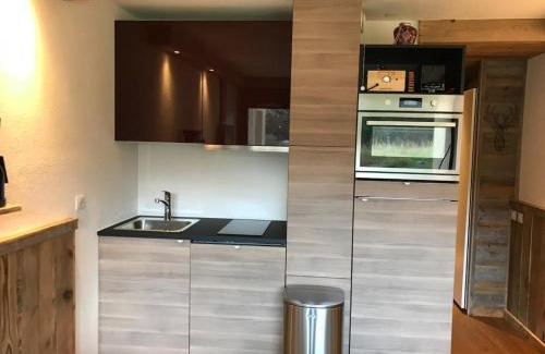 Les Menuires Apartment | Les Asters - Freeloc Immobilier